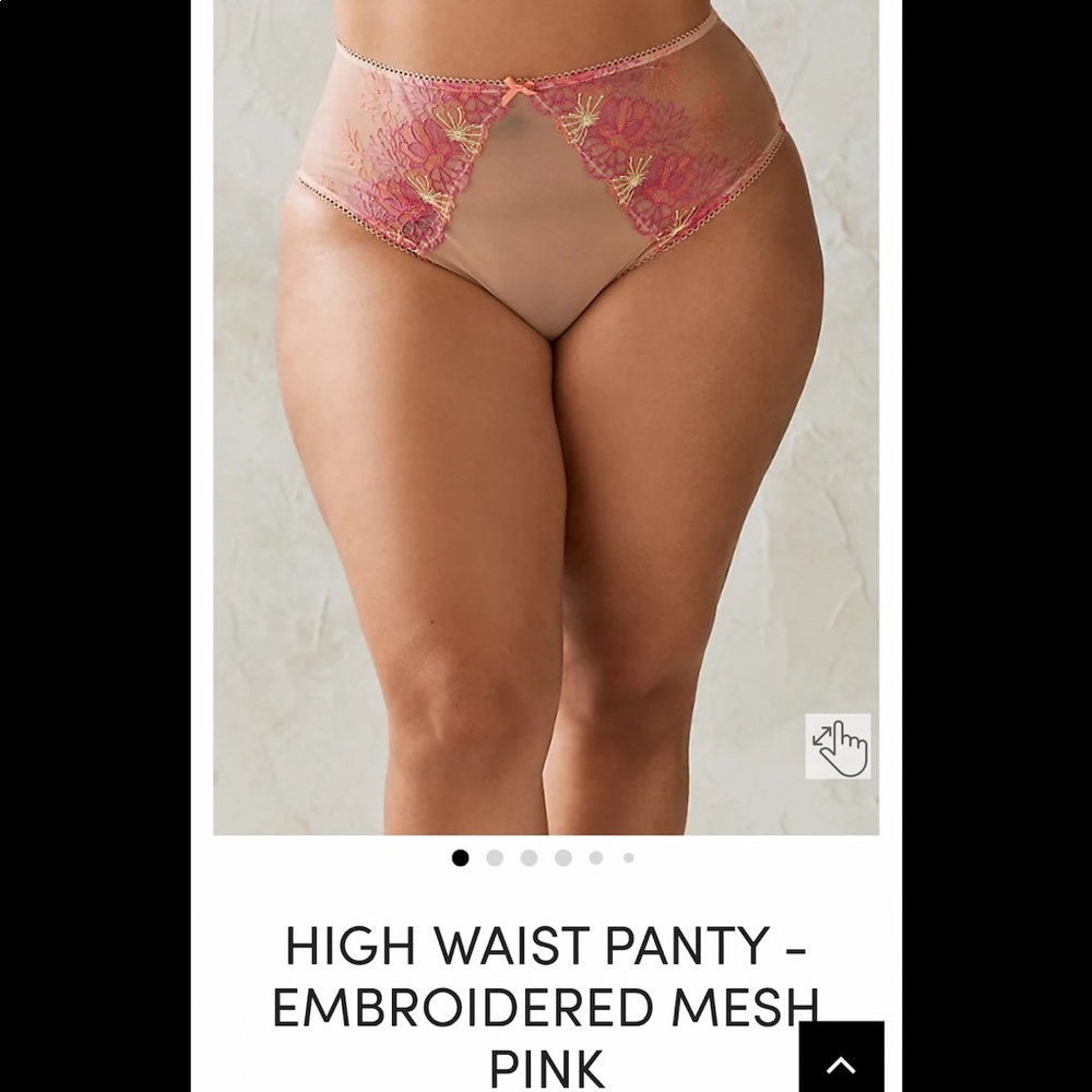 Torrid panty nude embroidered mesh